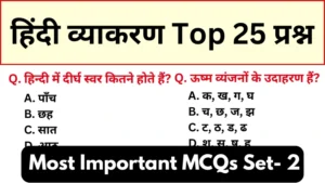 Hindi Vyakaran Mock Test in Hindi For Exams