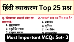 Hindi Vyakaran Mock Test in Hindi For Exams | Most Important Questions Online Mock Test